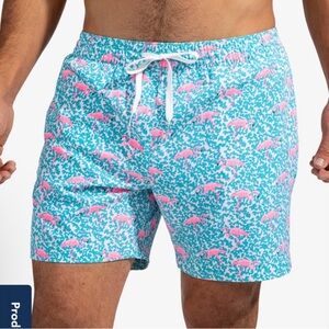 Chubbies The Domingos Are For Flamingos Swim Trunks